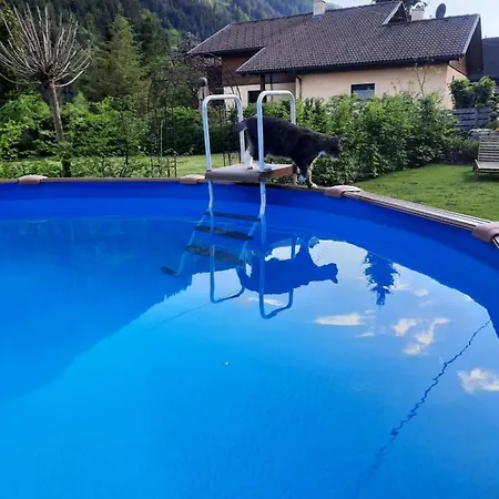 아파트 Haus Steinthaler