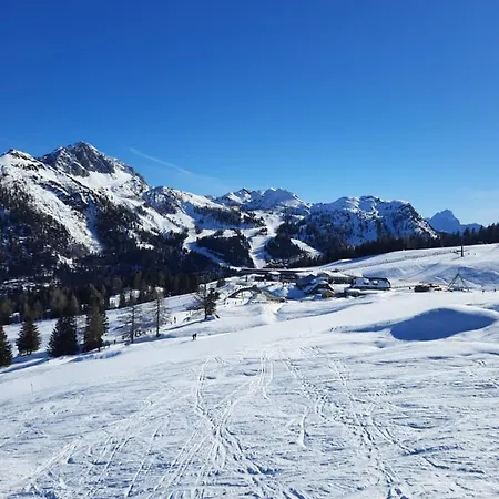 Haus Steinthaler 아파트