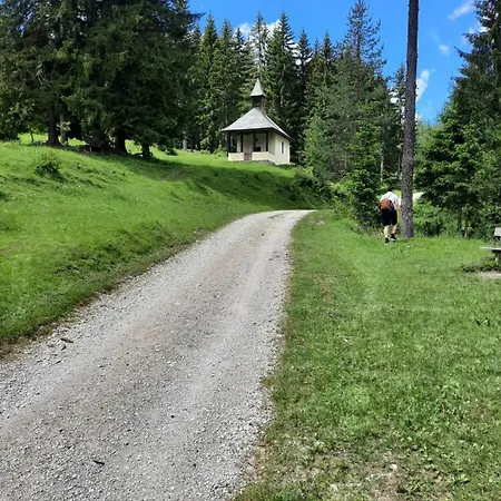 Haus Steinthaler 아파트 Stockenboi