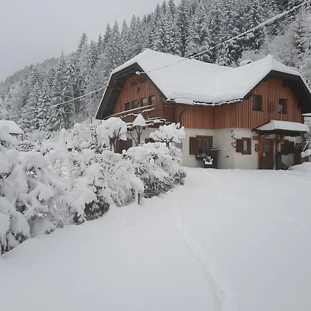 Апартаменты Haus Steinthaler Stockenboi