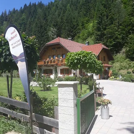 Haus Steinthaler *