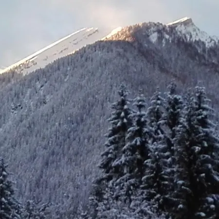 아파트 Haus Steinthaler *