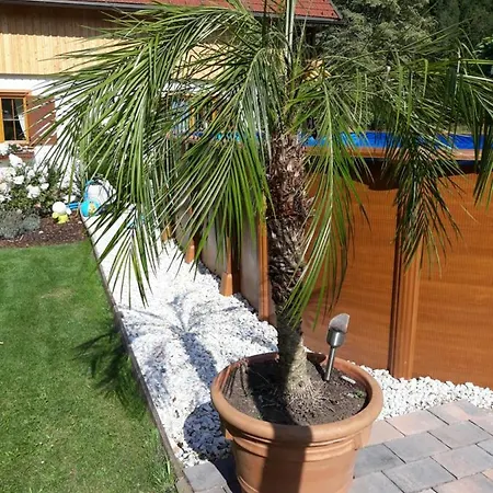 Haus Steinthaler 아파트