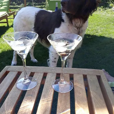 Haus Steinthaler * Stockenboi