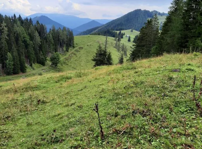 Haus Steinthaler * Stockenboi