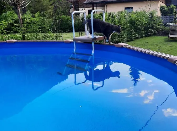 דירה Haus Steinthaler