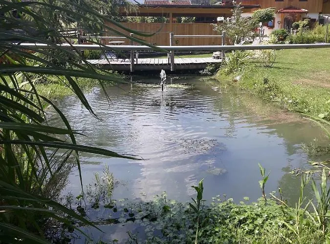 Haus Steinthaler דירה *