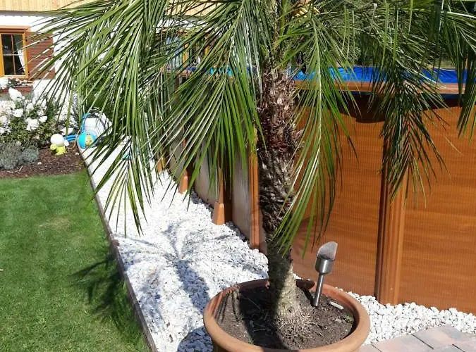 Haus Steinthaler דירה