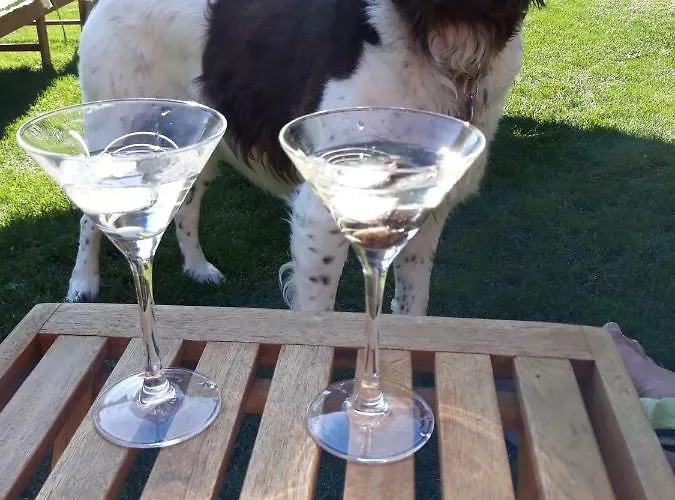 Haus Steinthaler * Stockenboi